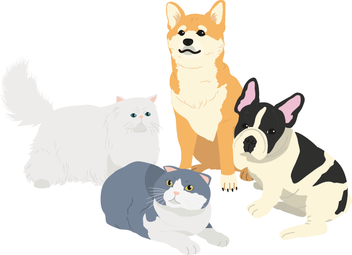 犬と猫のイラスト